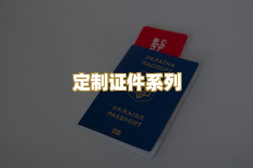 定制证件系列