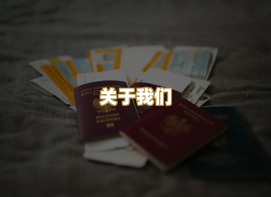 关于我们